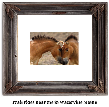 trail rides near me in Waterville, Maine